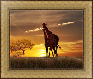 Картина в раме Жирафы на закате