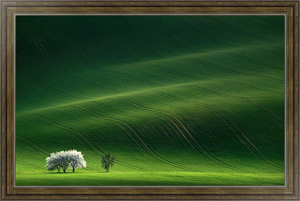 Картина в раме Чехия. Переливы зеленых полей Моравии