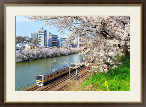 Постер под стеклом Железная дорога среди цветущих вишен в раме
