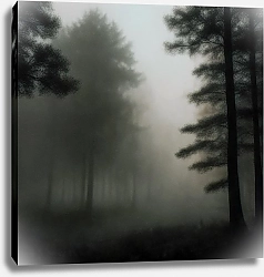 Постер Айналиора Черно-белый лесной пейзаж