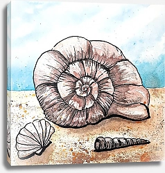 Постер Литвинова Наталья Ракушки