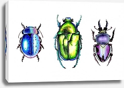 Постер Разгон Диана Радужные жуки