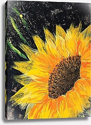 Постер Литвинова Наталья Подсолнух