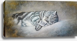 Постер Lukian - Алëна Савченко Спящий кот