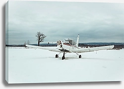 Постер Кирилл Бегларян На земле