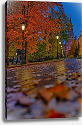 Постер Юрий Дегтярёв Москва. Золотая осень в Александровском саду.