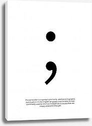 Постер Karybird Semicolon