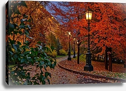 Постер Юрий Дегтярёв Москва. Золотая осень у стен Кремля в Александровском саду.