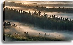 Постер Виктор Липников Зеленый хвойный лес в тумане