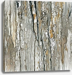 Постер Влад Хо б/н