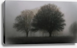 Постер Айналиора Монохромный пейзаж с деревьями в тумане