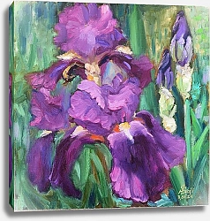 Постер Светлана Свофф Цветок монархов