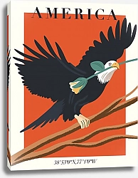 Постер Julie Alex Nature of America