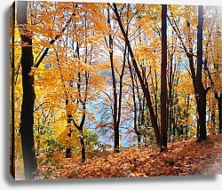 Постер Сергей Гундоров Золотая осень в парке