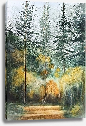 Постер Tatyana Konstantinova В осеннем лесу