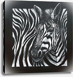 Постер Инна Гаджала Зебра жизни