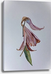 Постер Risovaka Лилия