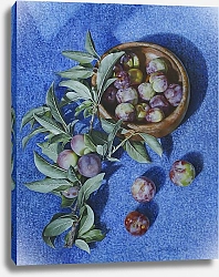 Постер Lukian - Алëна Савченко Ветки сливы на голубом фоне