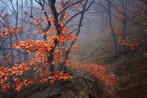 Крым. Осенние краски