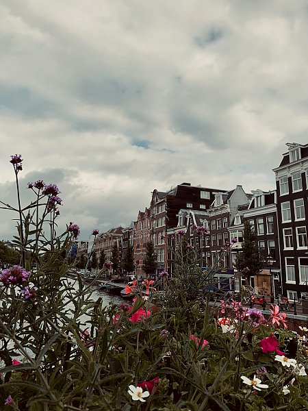 Улицы Амстердама 2