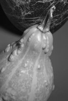 Черно-белое