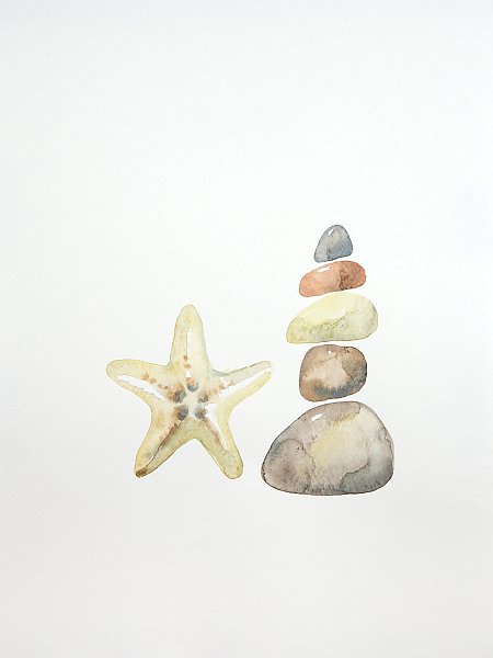 Harmony. Starfish