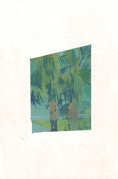 Пальмы в окне