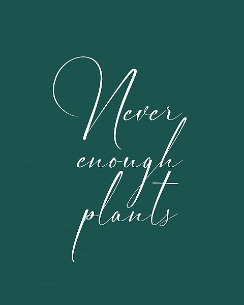 Never enough plants