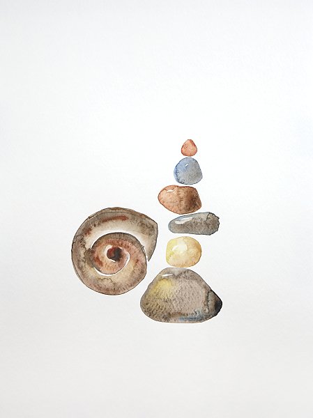 Harmony.  Sea shell