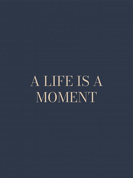 A life is a moment