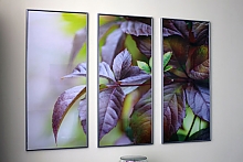 Оформления офиса компании "ИТЭЛМА"