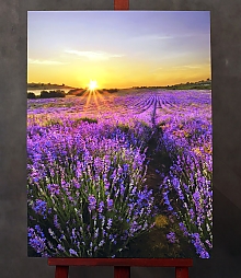 Поле лаванды со стилизацией под живопись на холсте