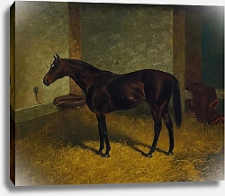 Постер Сталл Генри Гастингс в конюшне