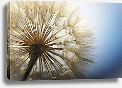Постер Одуванчик и серое небо