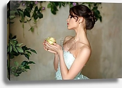 Постер Баня