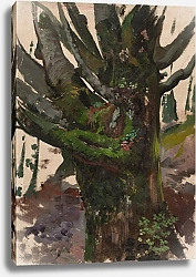 Постер Чолковский Леон Study of a tree