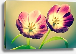 Постер Два тюльпана и солнце