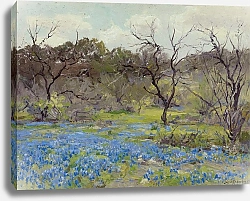 Постер Ондердонк Юлиан Early Spring—Bluebonnets and Mesquite