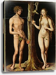Постер Кранах Лукас Старший Adam and Eve 5
