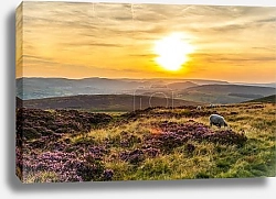 Постер Солнце над Пиком: Закат в Национальном парке Пик-Дистрикт, Англия
