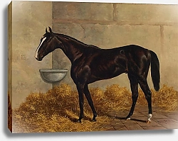 Постер Сталл Генри Лонгфелло в конюшне