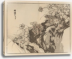 Постер Байрей Коно Байрей гафу, пл.57