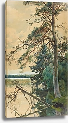 Постер Фалат Джулиан Świteź