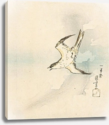 Постер Куниеси Утагава Japanese Cuckoo