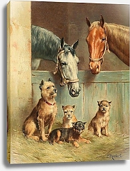 Постер Райхерт Карл Дружба с животными