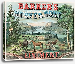 Постер Томас Хантер Лит Barker's nerve bone liniment
