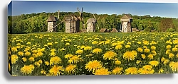 Постер Деревянные мельницы на одуванчиковом поле