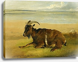 Постер Купер Томас Сидни Одинокий скорбящий