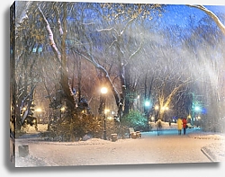 Постер Украина, Киев. Снегопад в Марьинском парке