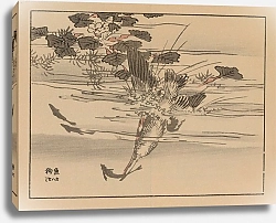 Постер Байрей Коно Байрей гафу, пл. 13